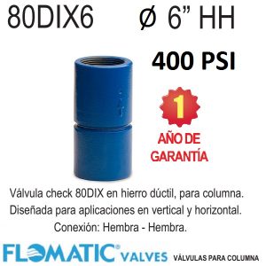 Válvula check columna de 6 pulgadas Flomatic 80DIX6